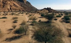 namib_2018
