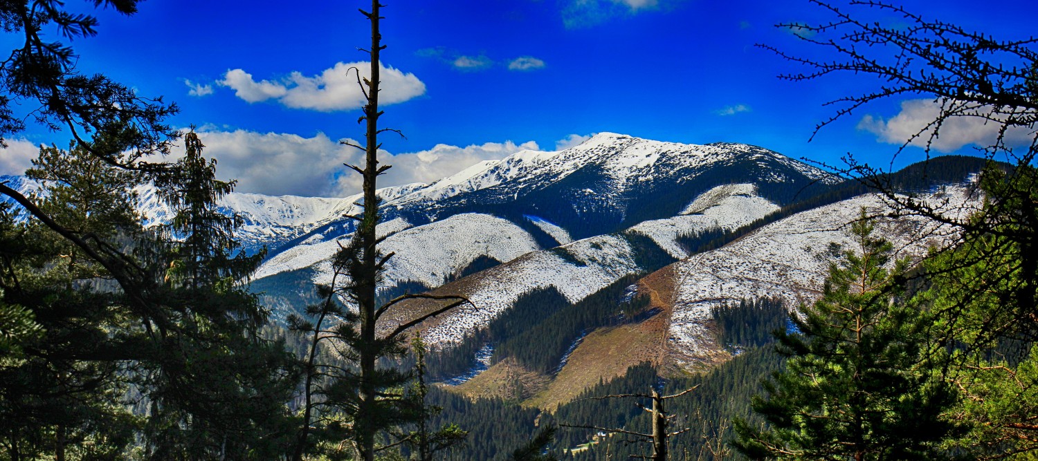 Nízke_Tatry_-_Krakova_hoľa_30.4_(12)_panorama.jpg