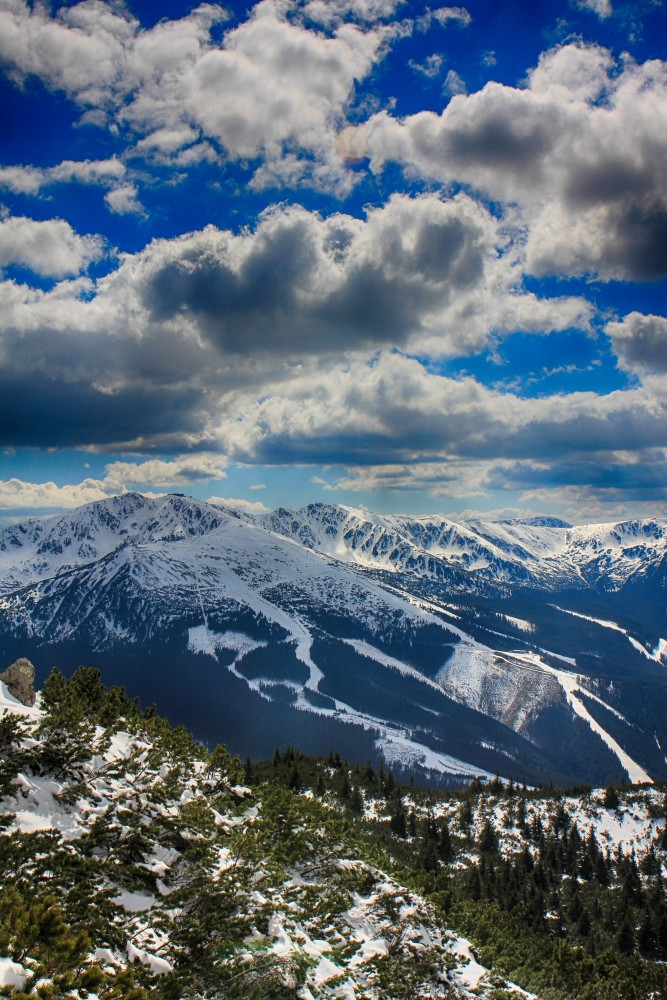 Nízke_Tatry_-_Krakova_hoľa_30.4_(147).jpg