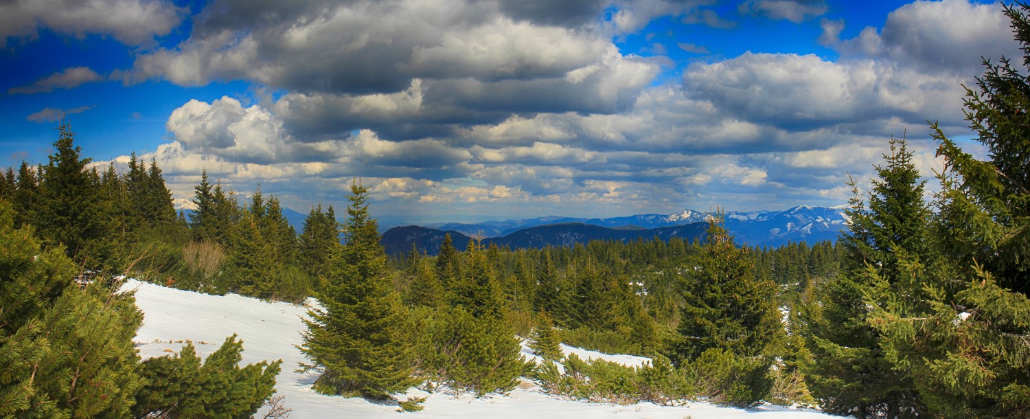 Nízke_Tatry_-_Krakova_hoľa_30.4_(156)_panorama.jpg