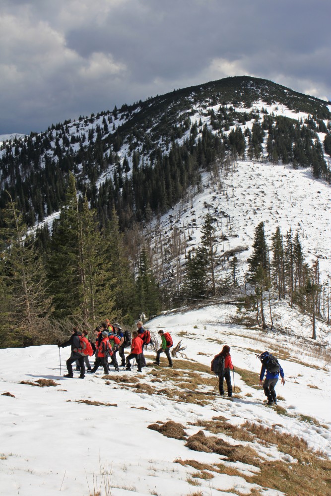 Nízke_Tatry_-_Krakova_hoľa_30.4_(169).jpg