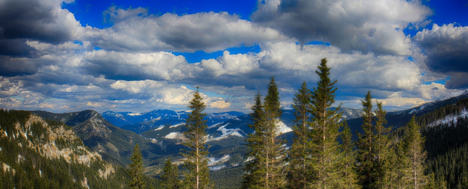 Nízke_Tatry_-_Krakova_hoľa_30.4_(170)_panorama.jpg