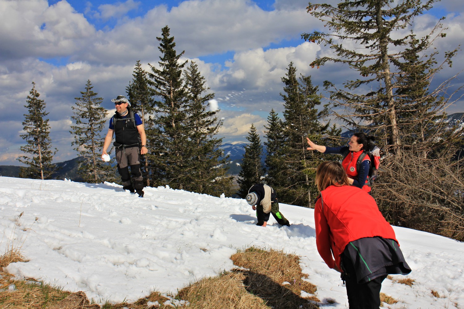 Nízke_Tatry_-_Krakova_hoľa_30.4_(177).jpg