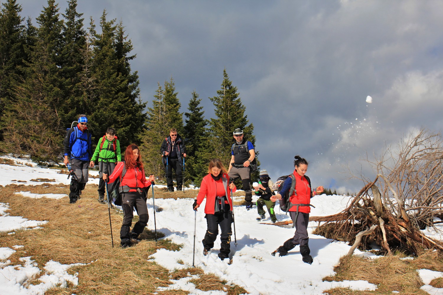 Nízke_Tatry_-_Krakova_hoľa_30.4_(181).jpg