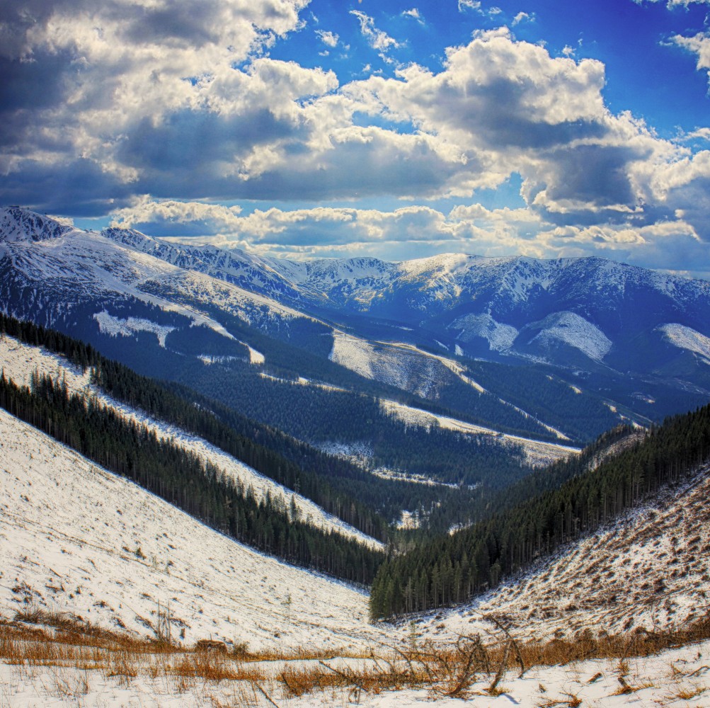 Nízke_Tatry_-_Krakova_hoľa_30.4_(184)_panorama.jpg