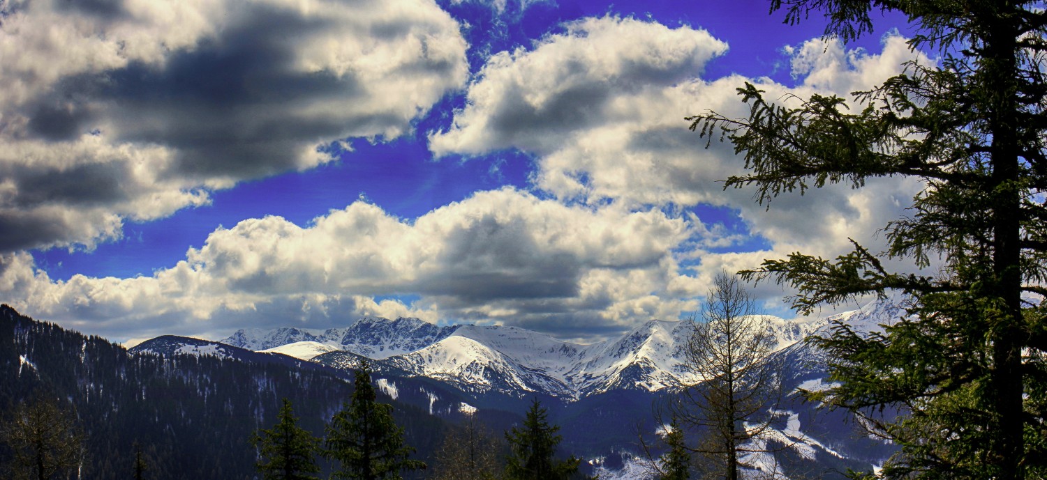 Nízke_Tatry_-_Krakova_hoľa_30.4_(32)_panorama.jpg