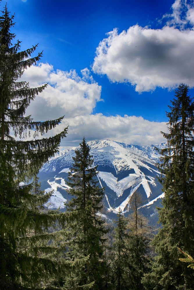 Nízke_Tatry_-_Krakova_hoľa_30.4_(42).jpg