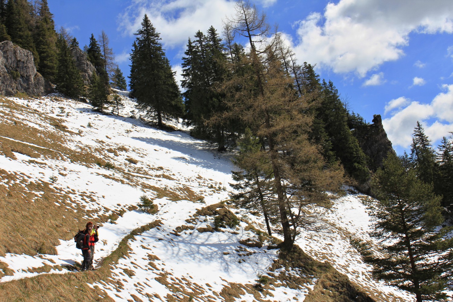 Nízke_Tatry_-_Krakova_hoľa_30.4_(53).jpg