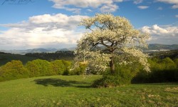 11196234_892894127444688_8036217094342509138_n