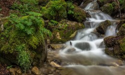 10838287_1629500670629518_4604892854281176313_o