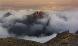 _DSC5217