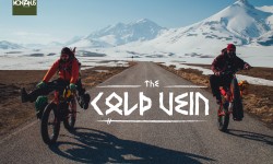 The_COLD_VEIN_1