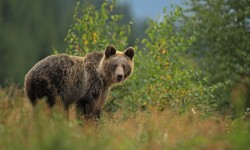 narodni_park_velka_fatra