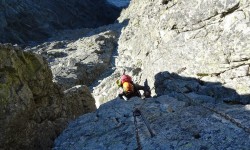 14184452_10206270153903686_2731762038438981103_n