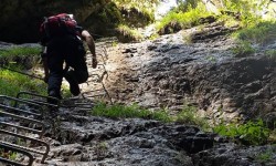 13912748_10207926034161139_7712498194992839340_n