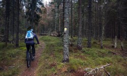 18192990_10208910286250258_8299148562980797731_o