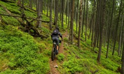 20157133_10209527274874588_5814150246467124643_o