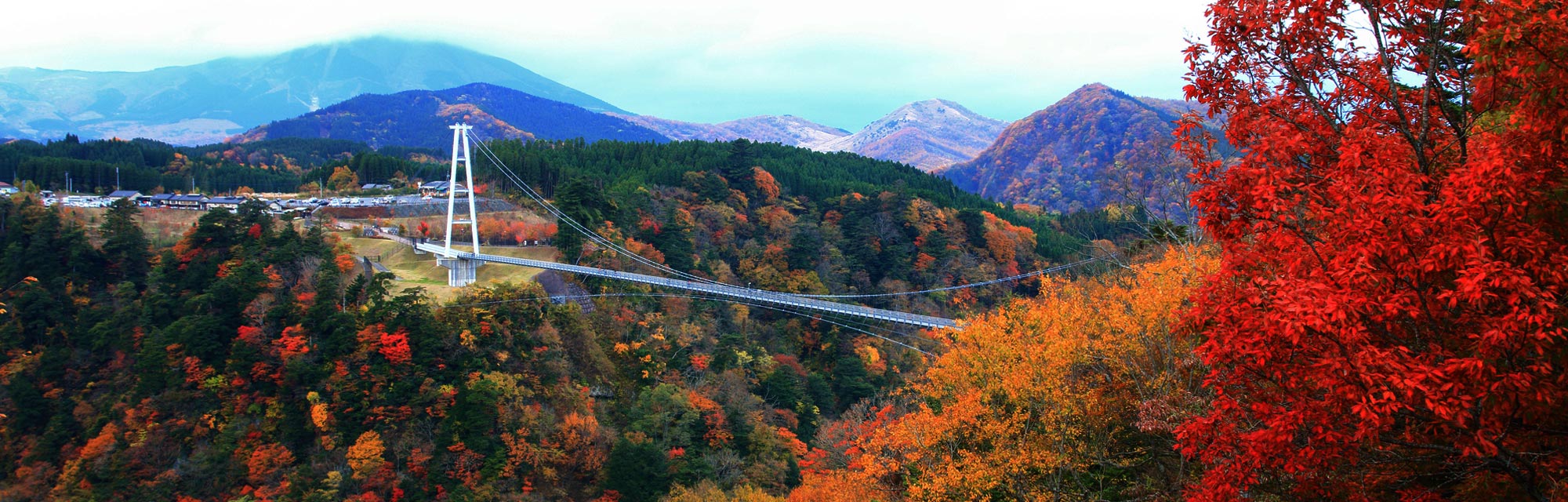 Kokonoe-Yume-Grand-Suspension-Bridge