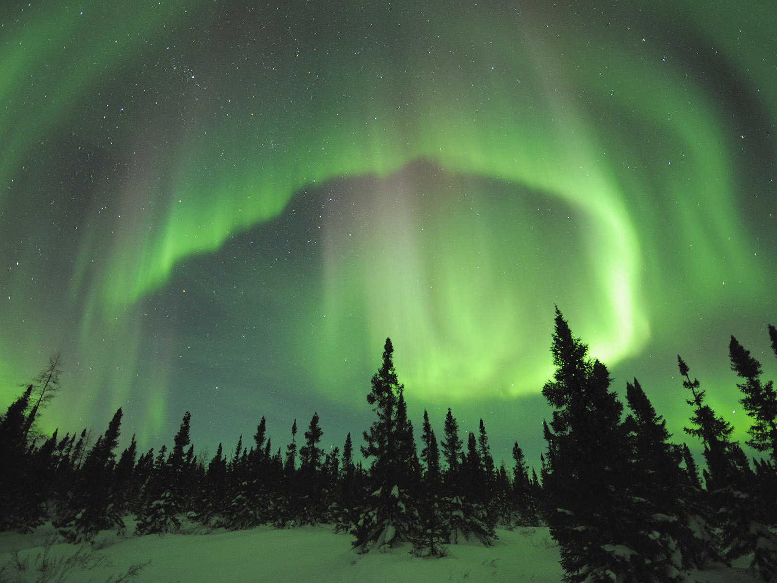 Manitoba, Canada --- Aurora Borealis in Manitoba --- Image by © Daniel J. Cox/Corbis