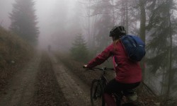 23826050_10210358172406507_6491910645939211496_o