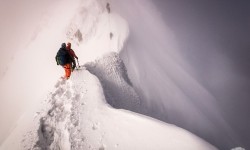 12898229_586692008174404_3233310192269347009_o