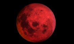 Blood Moon