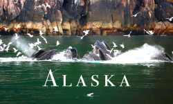 Hromadný lov vráskavcov