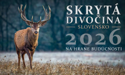 Skryta-divocina-2026-titulka-8