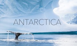 antartica.jpg