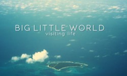 biglittleworld.jpg
