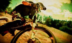 bikefest.jpg