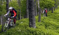 mtb-inspiracie-7-diel.jpg