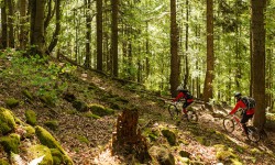 mtb-inspiracie-9-diel.jpg