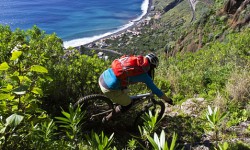 mtb_madeira.jpg