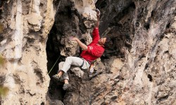 petzl.jpg